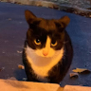 Meet your Posher, Molly